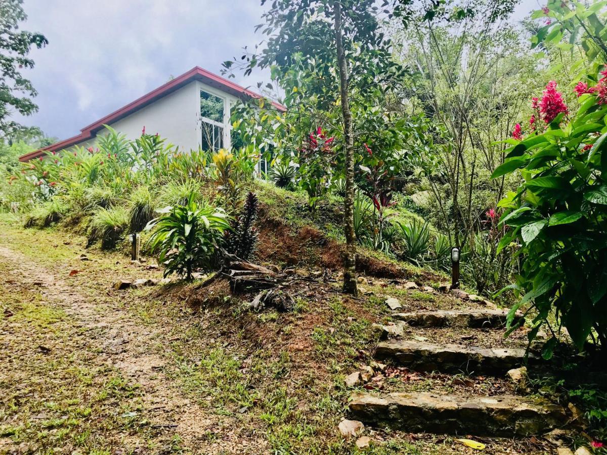 Sattva Land Hotel Belmopan Exterior photo